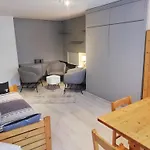 Studio Skis Aux Pieds Proche Centre, Balcon, Parking, Animaux Admis - Fr-1-514-33